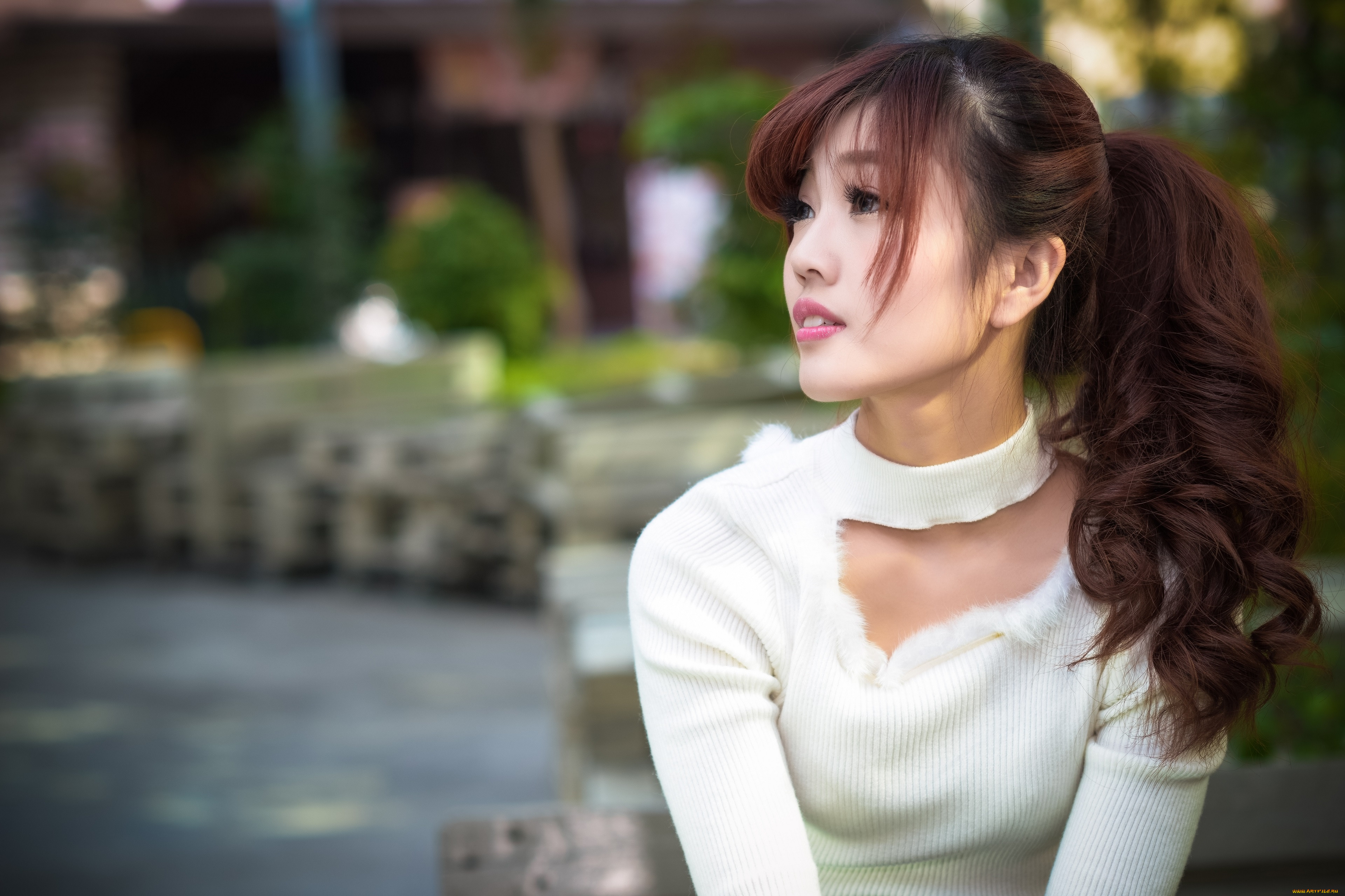, - , 